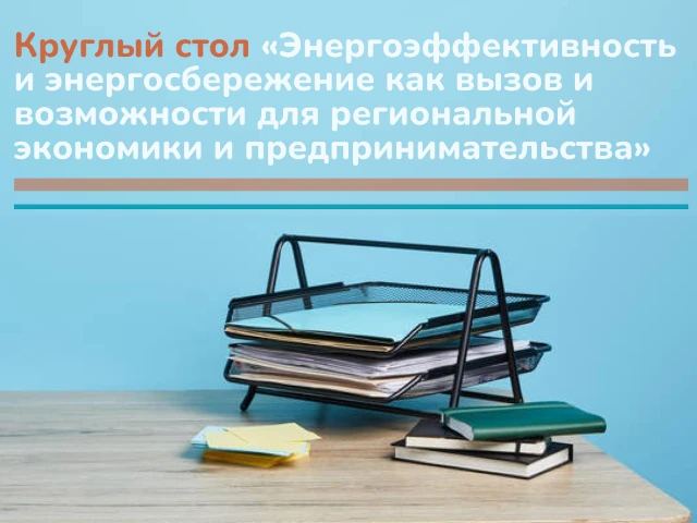 СПбГБУ «Центр энергосбережения» поделился опытом с коллегами из Красноярска