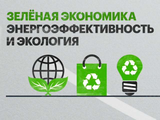 Совет ТПП РФ по развитию экономики замкнутого цикла и экологии обсудил вопросы зеленой экономики