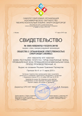 Выдача свидетельства (допуска) саморегулируемой организации в области энергетического обследования (СРО энергоаудиторов)