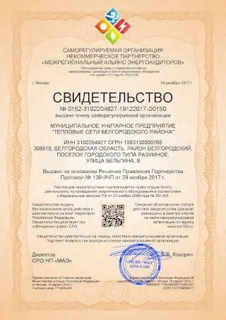 Выдача свидетельства (допуска) СРО энергоаудиторов