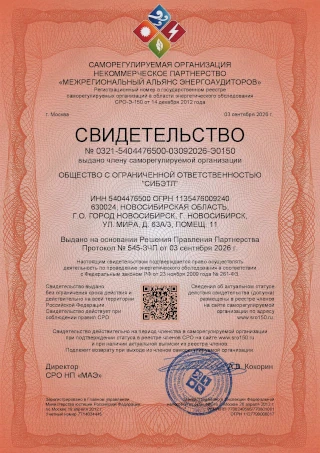Выдача свидетельства (допуска) саморегулируемой организации в области энергетического обследования (СРО энергоаудиторов)